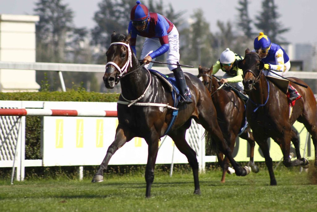 Retrospecto Gulfstream Park - Carreras americanas en vivo hoy