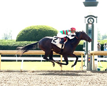 Fair Grounds picks: Datos carreras americanas hoy