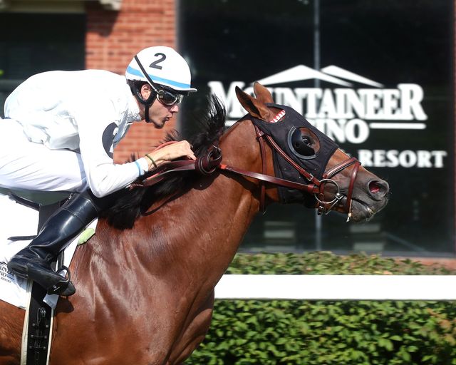 Mountaineer park picks: Apuestas de caballos internacionales MasterBets.com