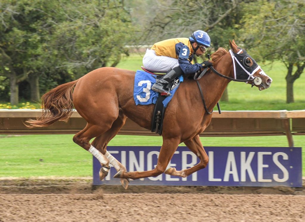 Resultados carreras de caballos hoy: Finger Lakes picks