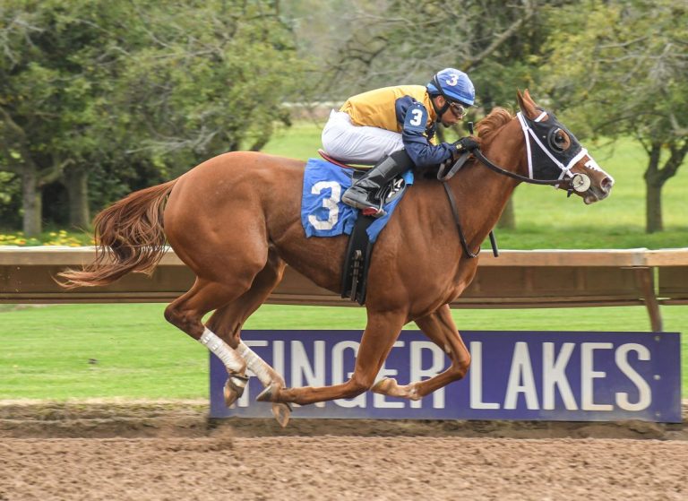 Resultados carreras de caballos hoy: Finger Lakes picks