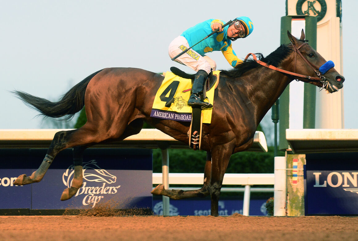 Caballos ganadores del Derby de Kentucky y Breeders' Cup Classic