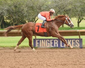 Finger lakes resultados: Tabla de dividendos carreras americanas MasterBets.com