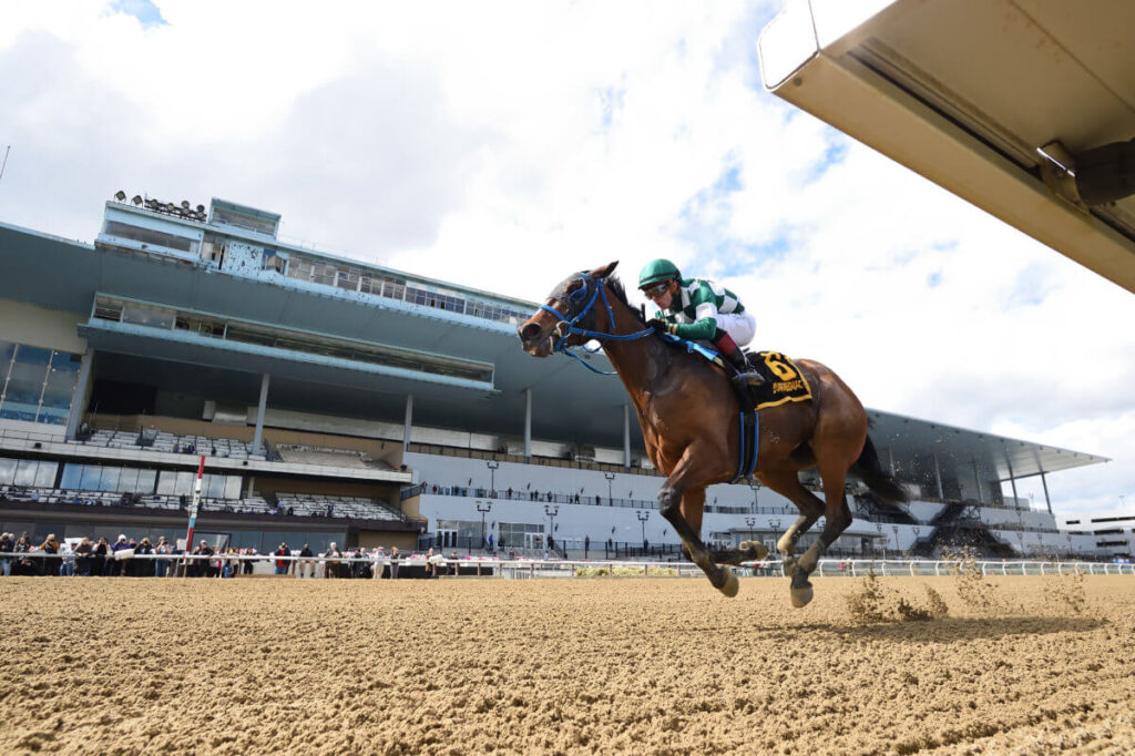 Aqueduct picks: Hipismo internacional en vivo hoy