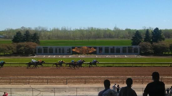 Finger lakes en vivo: Dividendo carreras americanas MasterBets365.com