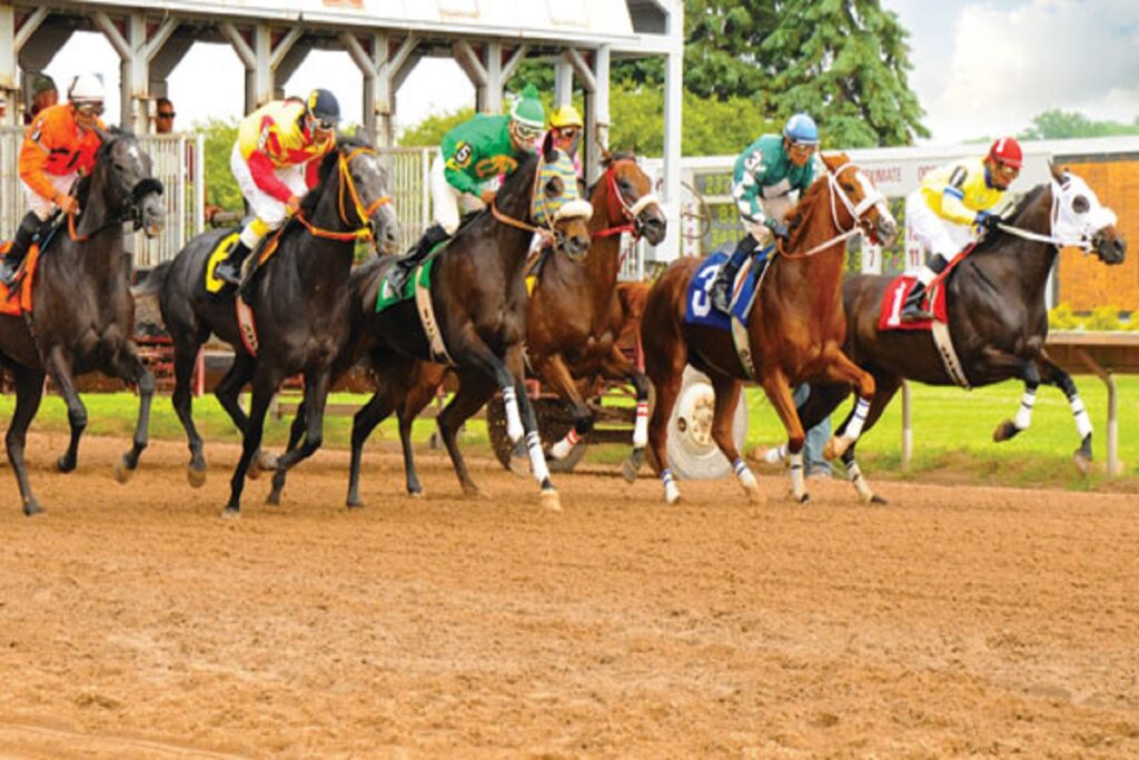 Finger lakes resultados: Marcas para las carreras americanas MasterBets365.com
