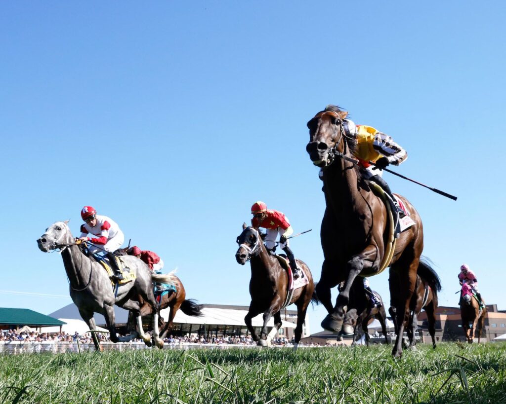 Churchill downs handicapping: Apuestas de caballos internacionales MasterBets365.com