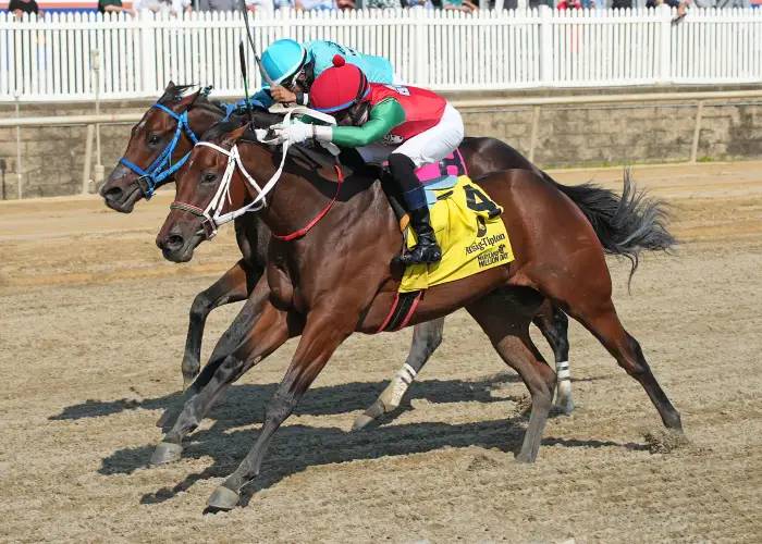 Laurel Park picks: Hipismo internacional en vivo hoy