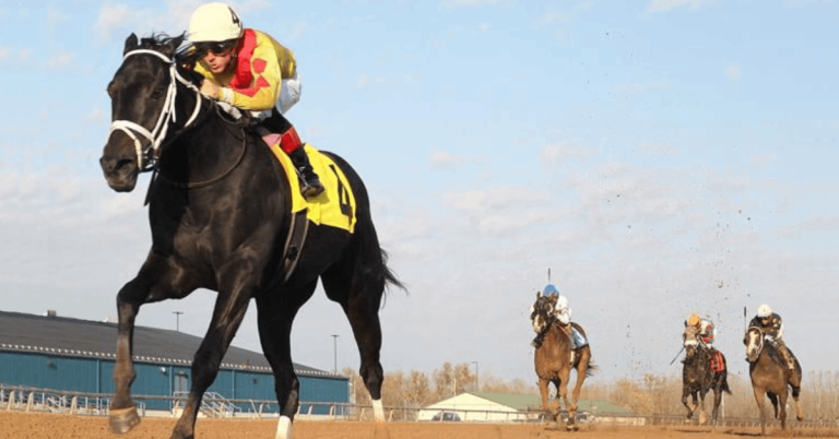 Finger lakes datos: Apuestas de caballos internacionales MasterBets365.com