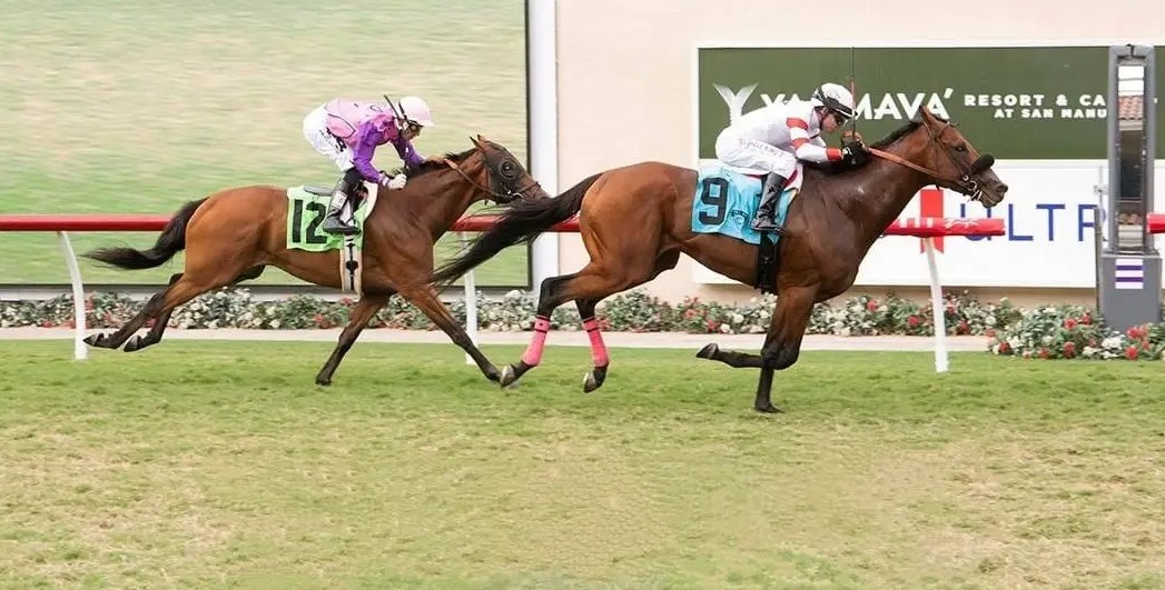 Santa Anita Park datos hipismo