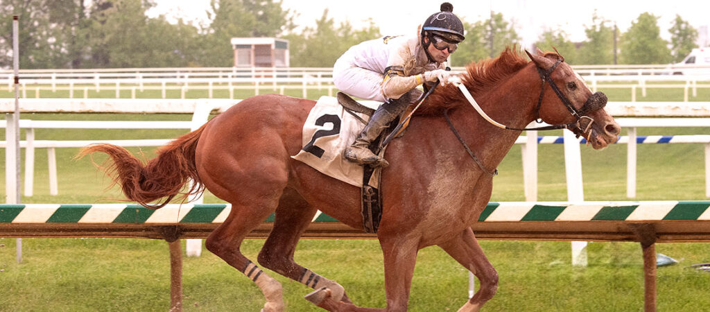 Nashua Stakes picks Carreras americanas en vivo hoy