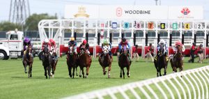 Woodbine en vivo: Apuestas de caballos internacionales MasterBets365.com
