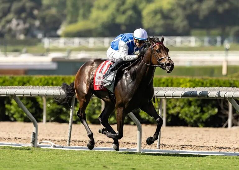 Toupie es la gran favorita para el el Autumn Days Stakes que se celebrará en el hipódromo de Aqueduct