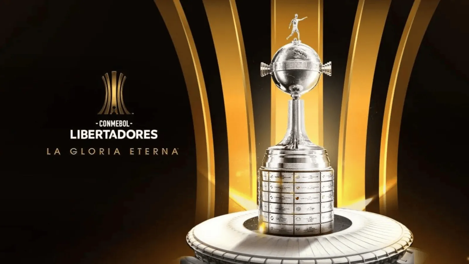 Botafogo - Final de la Copa Libertadores 2024 | Apuesta y resumen