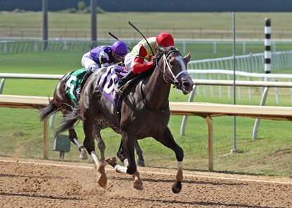Carreras Americanas online - Fair Grounds en vivo