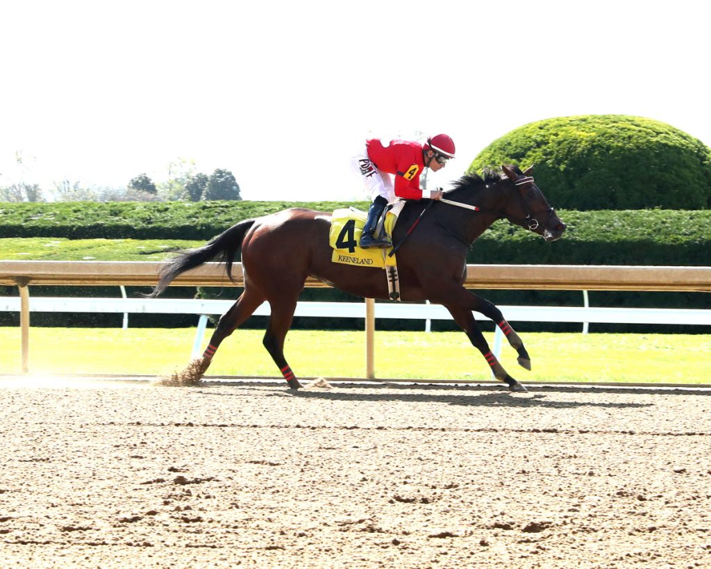 Hipismo internacional en vivo hoy - Churchill Downs picks