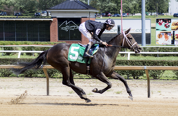 Mountaineer Park picks: Hipismo Internacional en vivo hoy