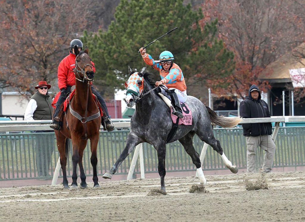 Parx Racing picks ultimatecapper: Hipismo internacional datos MasterBets365.com