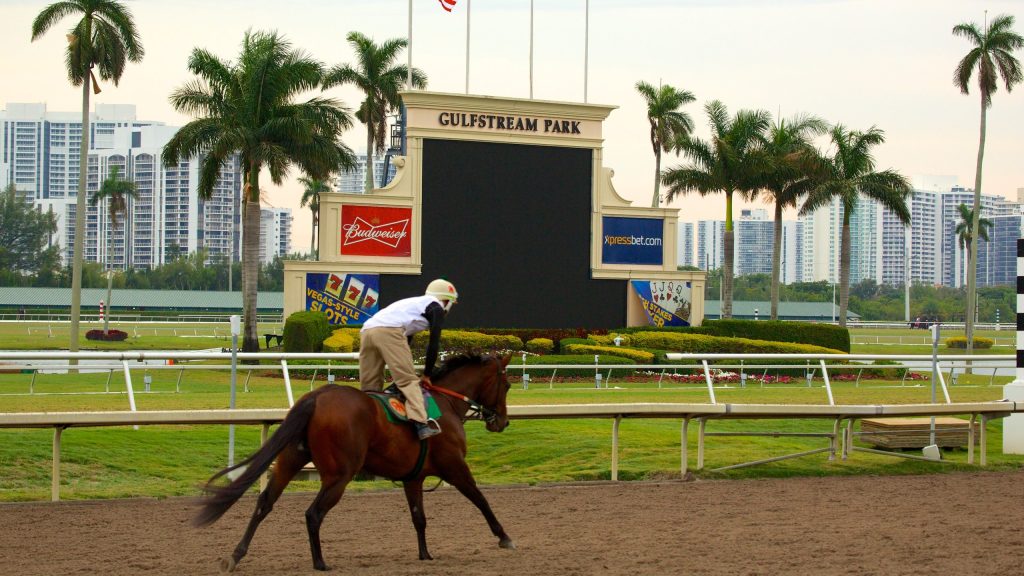 Retrospecto Gulfstream Park: Datos carreras americanas hoy