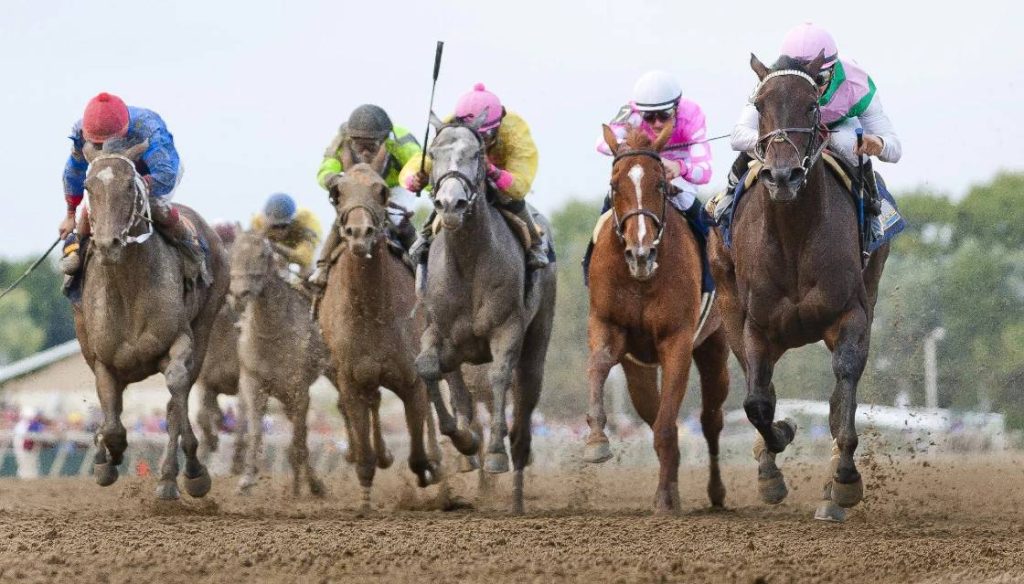 Parx Racing picks: Retrospecto hipismo Internacional