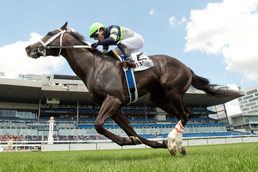 Woodbine picks: Hipismo Internacional en vivo hoy