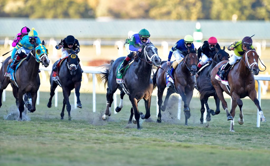 Gulfstream Park picks: Carreras americanas en vivo hoy