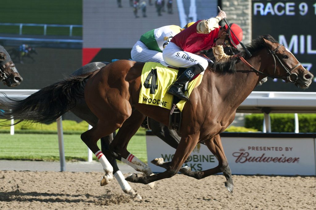 Woodbine picks: Retrospecto hipismo Internacional