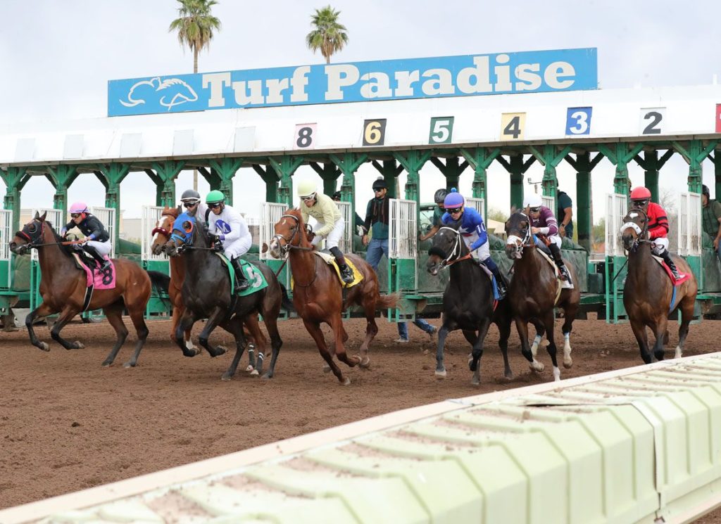 Carrera hipódromo Turf Paradise: Datos hipicos internacionales