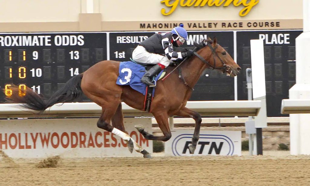 Datos de Mahoning Valley: Retrospecto hipismo Internacional