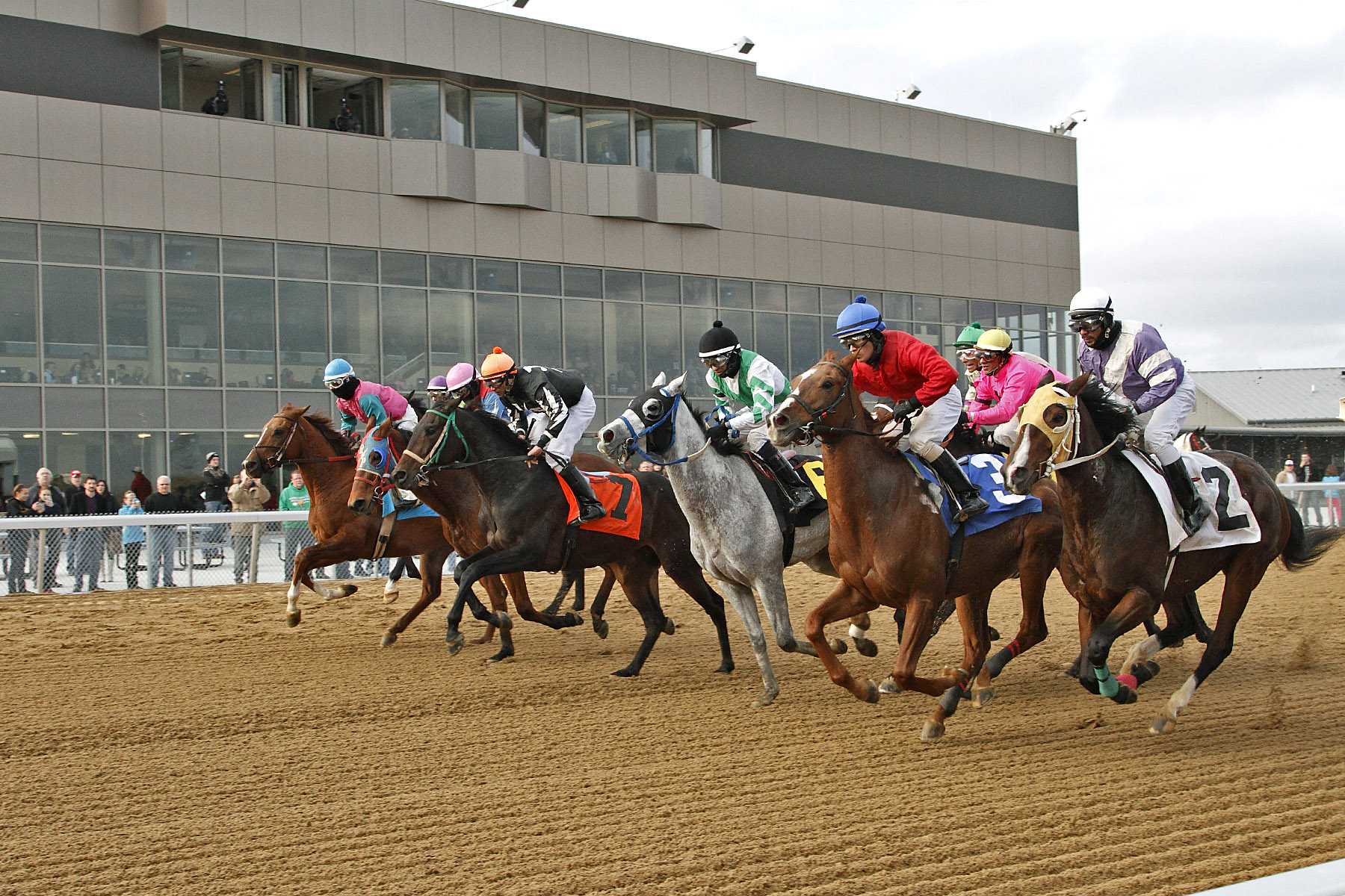 Mahoning Valley Picks: Hipismo Internacional - 23 de diciembre