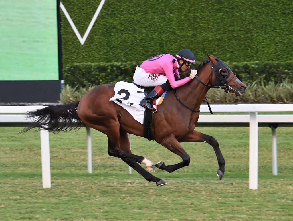 Datos hipicos gratis carreras internacionales: Retrospecto Gulfstream Park