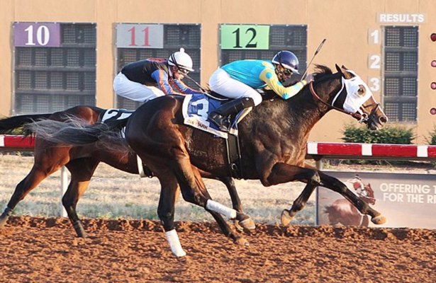Retrospecto hipismo Internacional: Datos Zia Park hoy