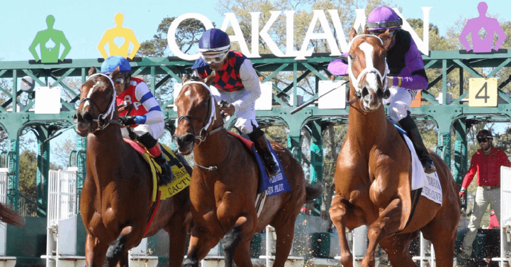 Oaklawn Park Picks: Hipismo Internacional en vivo hoy