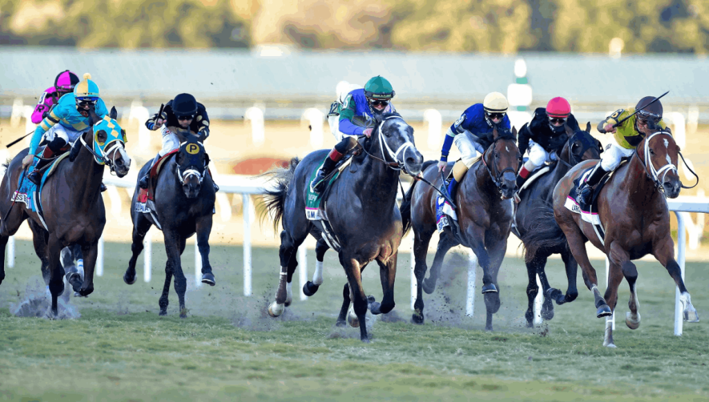 Retrospecto Gulfstream Park_ Hipismo Internacional en vivo hoy