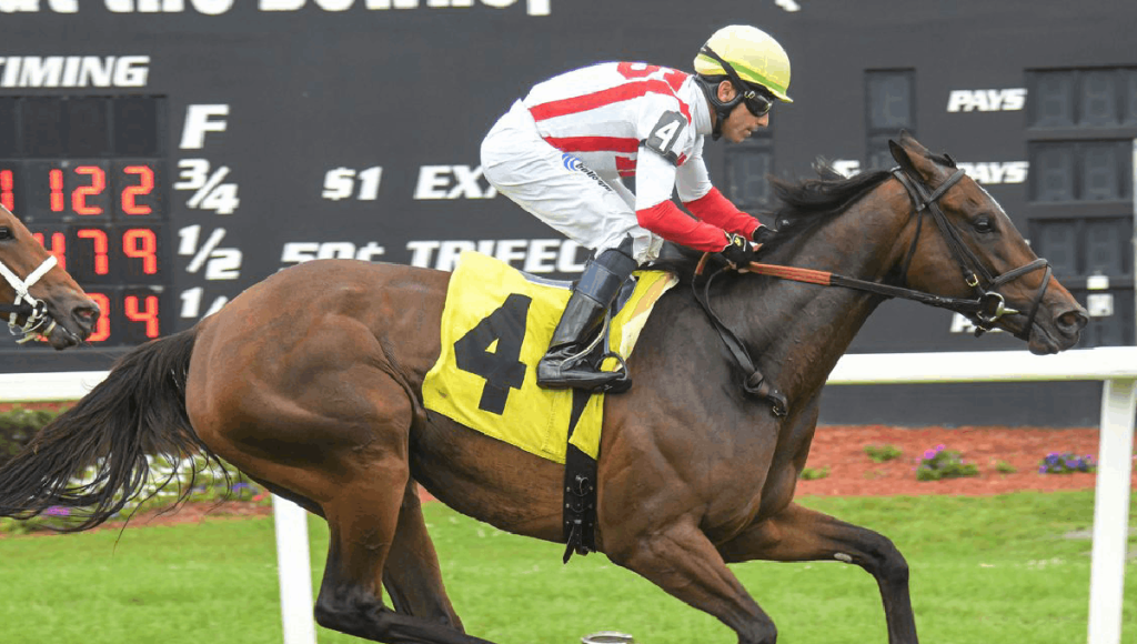 Santa Anita Park picks Datos carreras