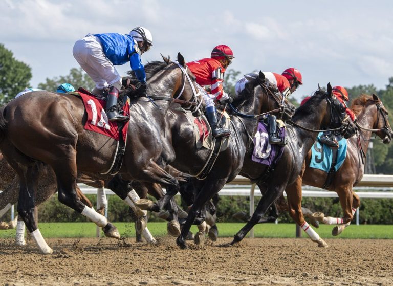 Pronóstico Saratoga 11 de julio de 2025