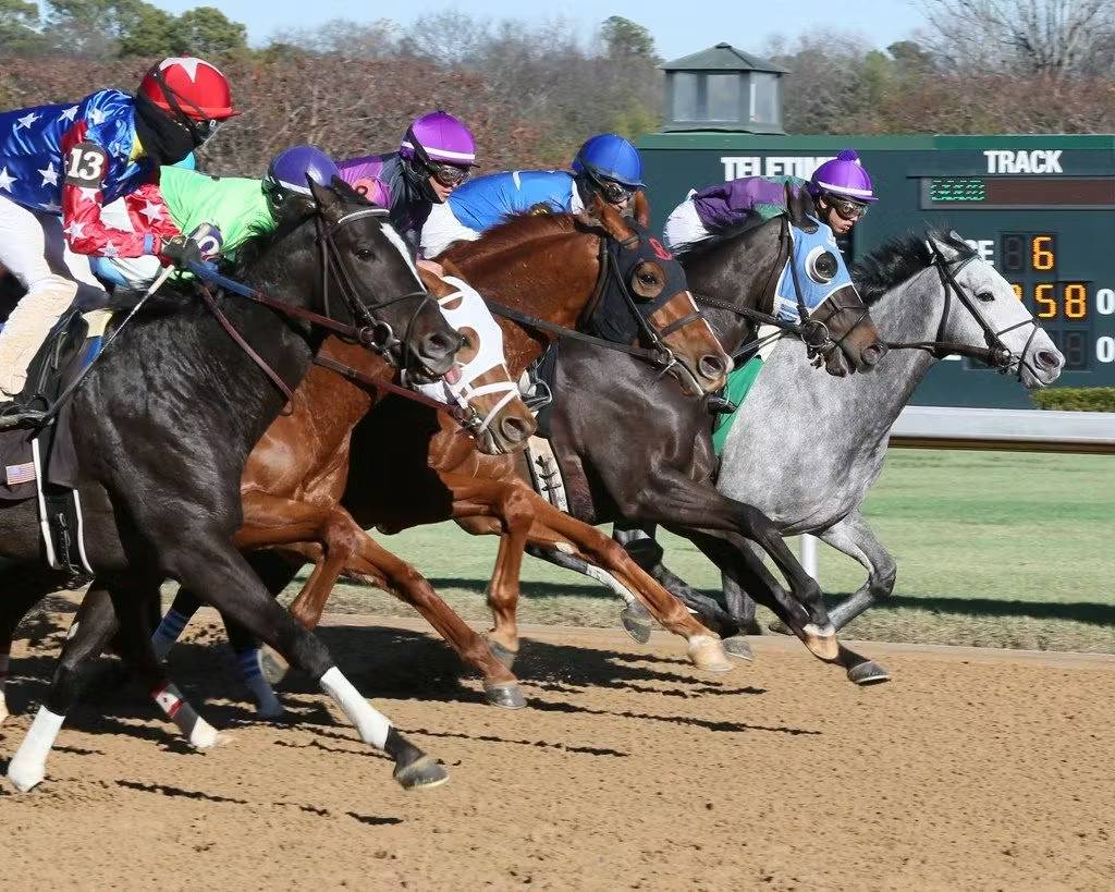 Datos Mahoning Valley: Hipismo Internacional en vivo hoy
