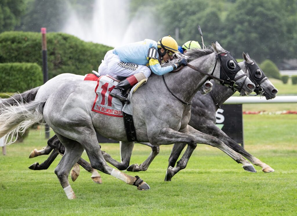 Gulfstream Park Picks: Retrospecto de carreras americanas