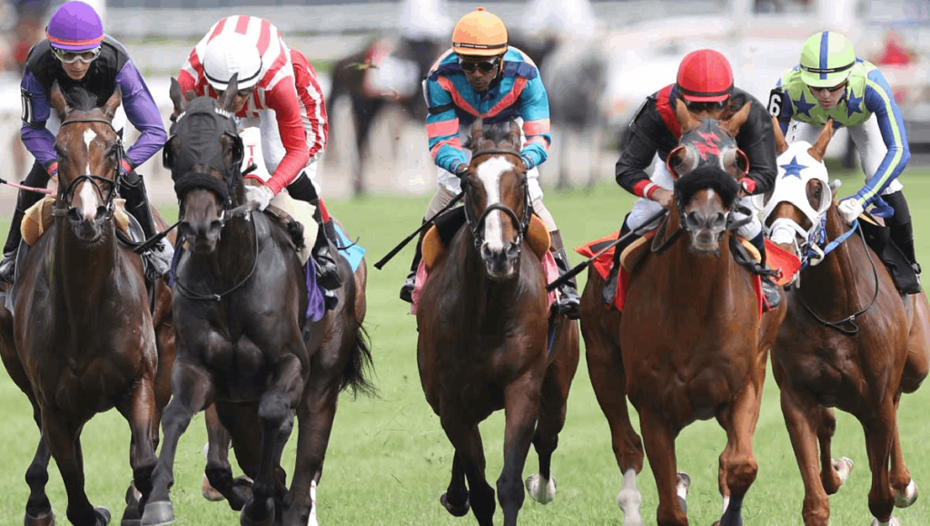 Resultados de woodbine: Tabla de dividendos de caballos americanos MasterBets365.com