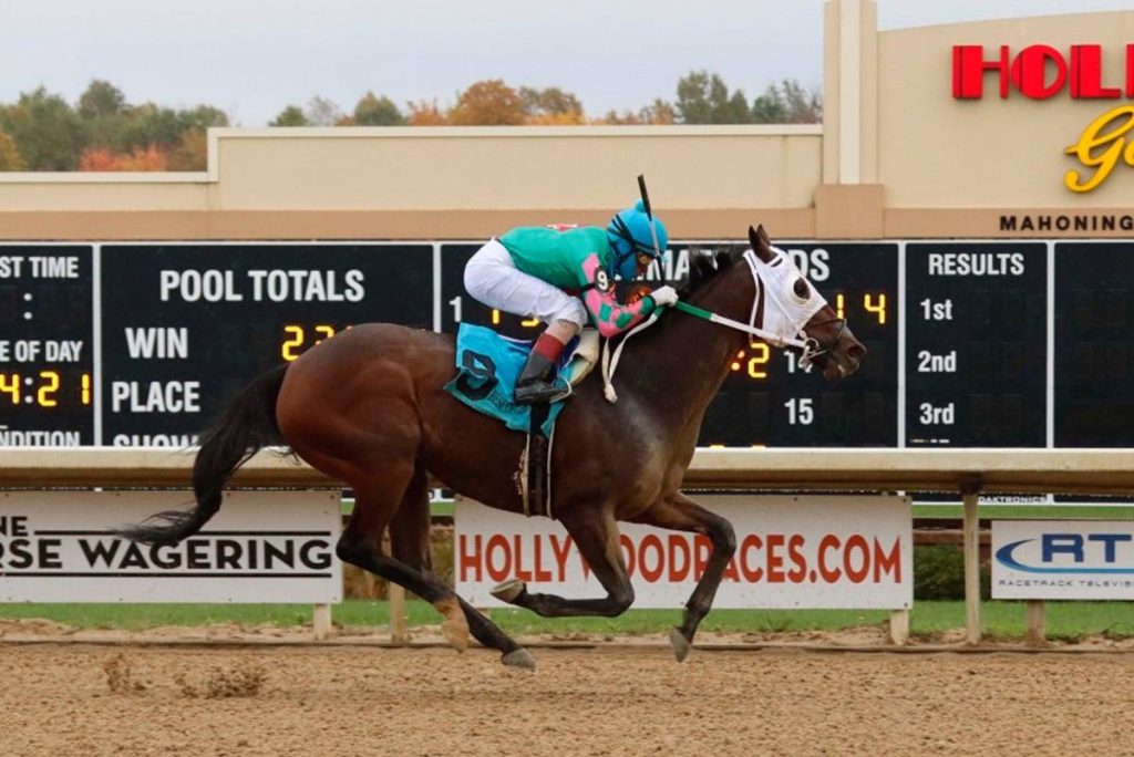 Datos de Mahoning Valley: Retrospecto de carreras americanas