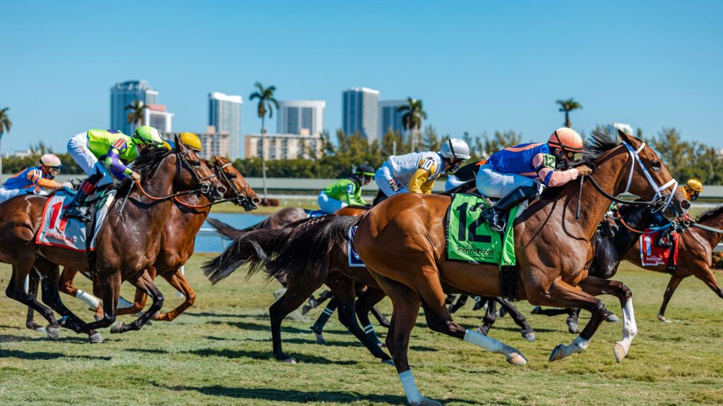 Retrospecto hipismo Internacional: Datos de Gulfstream Park hoy