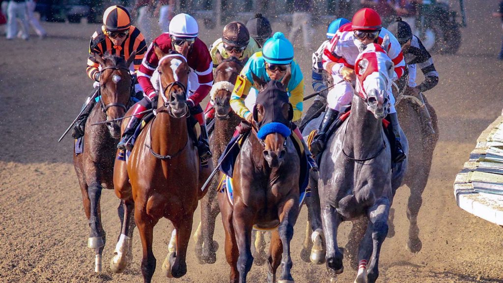 Parx Racing picks: Carreras Americanas online | Datos y apuesta