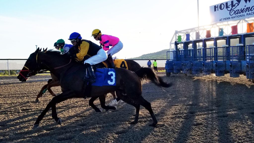 Penn National picks: Retrospecto de carreras americanas para hoy