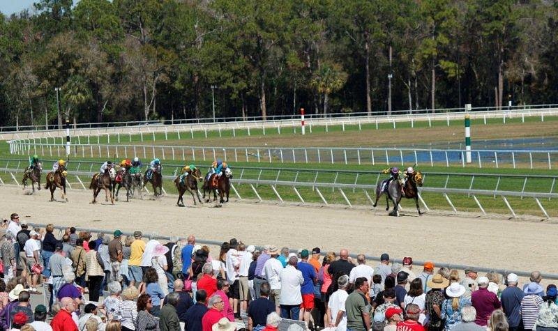 Tampa downs pick - Pronosticos carreras americanas