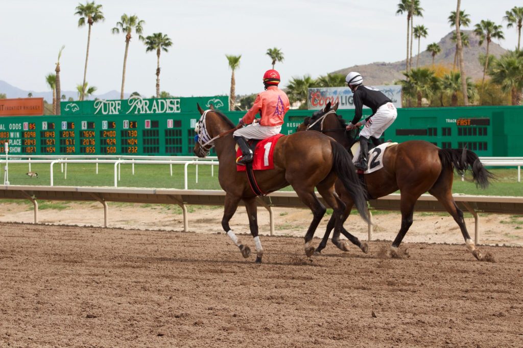 Retrospecto hipismo Internacional: Turf Paradise picks