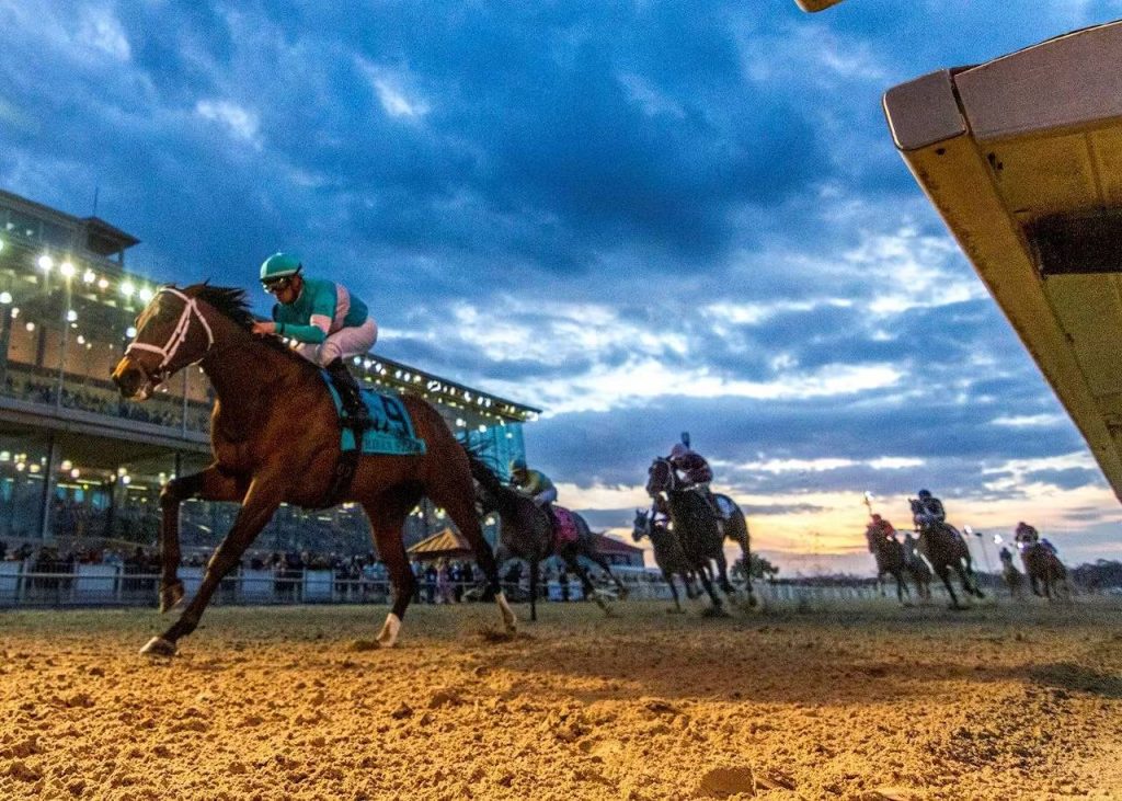 Fair grounds picks: Carreras americanas en vivo hoy MasterBets.com