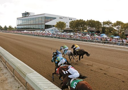 Best bet Parx Racing: Retrospecto de carreras americanas para hoy