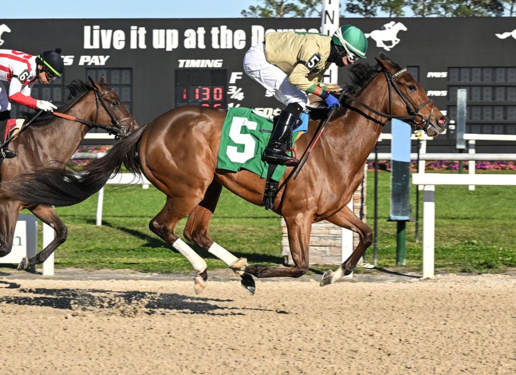 Quick picks americanas: Marcas Tampa Bay Downs Masterbets365.com