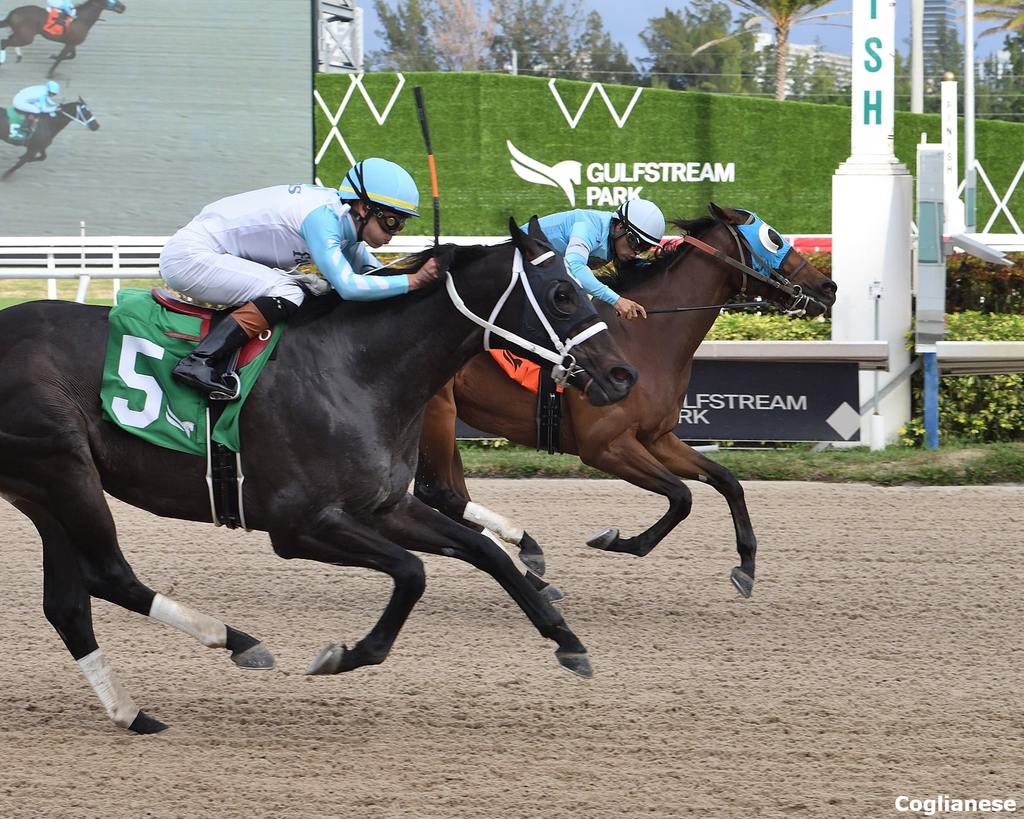 Quick picks americanas: Winner Choice Gulfstream Park MasterBets365.com