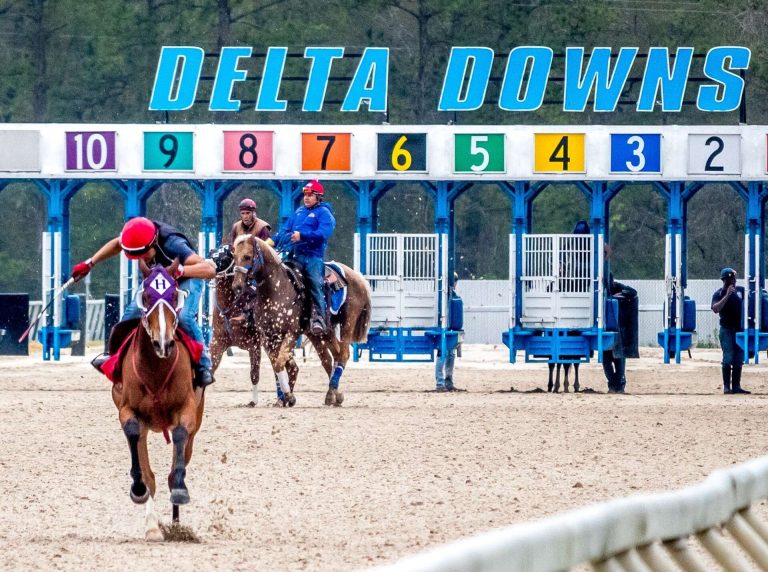 Delta Downs picks: Retrospecto de carreras americanas para hoy MasterBets365.com